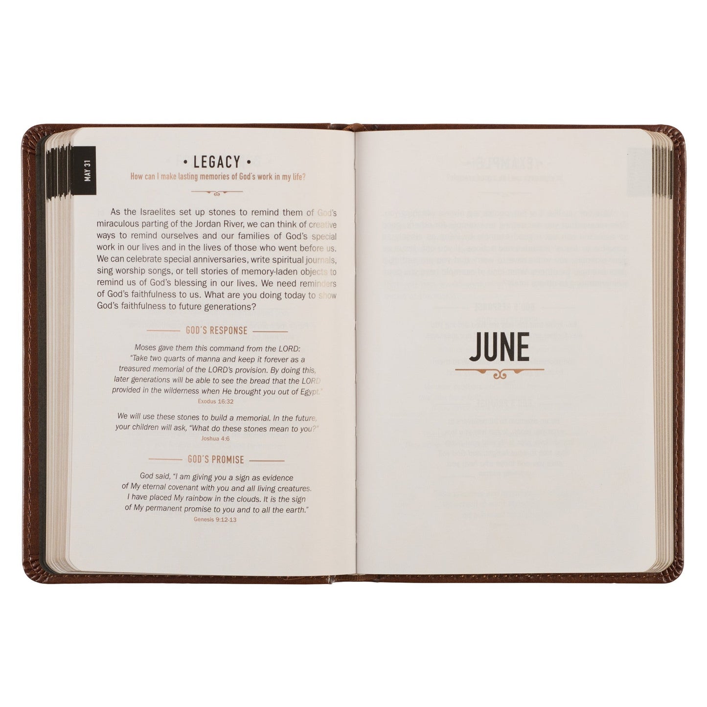 365 Days of Daily Prayer Leather Notebook